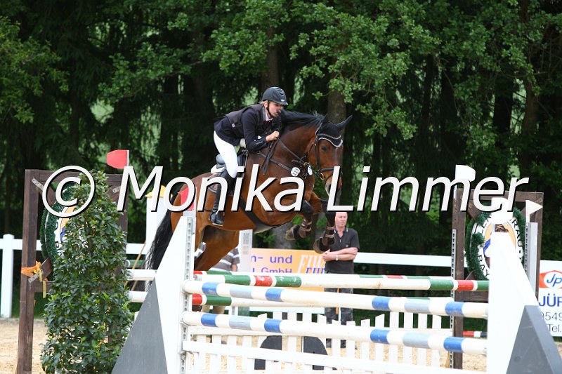 006M7400_Spring L.JPG